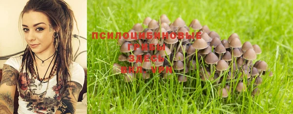 гидропоника Медвежьегорск