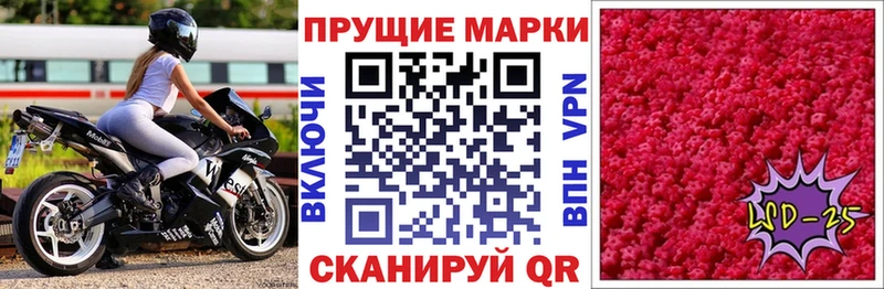 как найти наркотики  это клад  Марки N-bome 1,5мг  Нерчинск  KRAKEN  